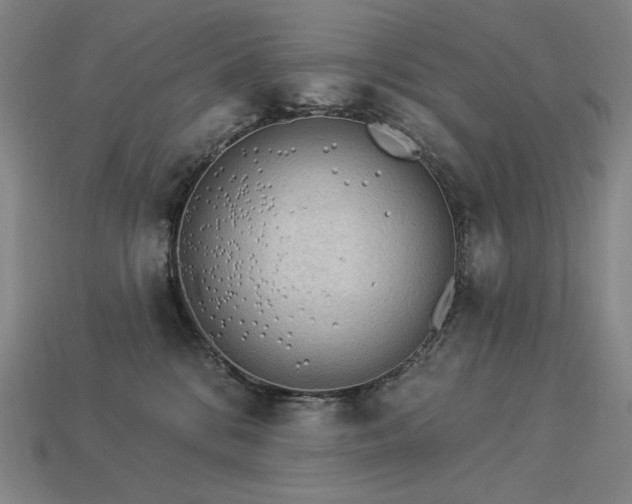 X0000113960328200909251406