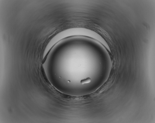 X0000113960329200909251406