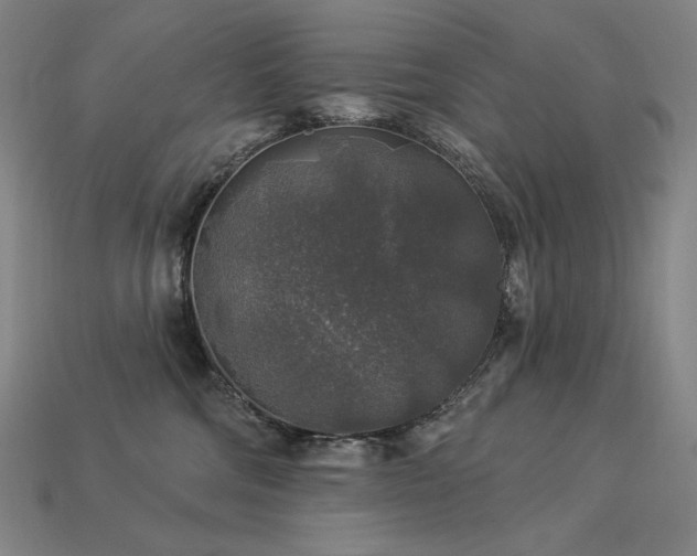 X0000113960330200909251406