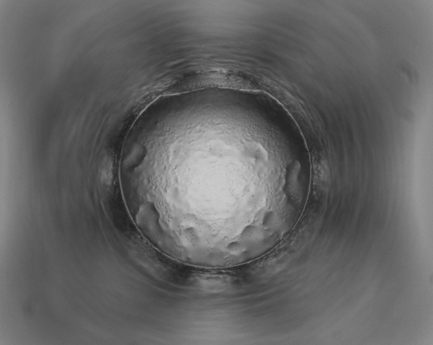 X0000113960331200909251406