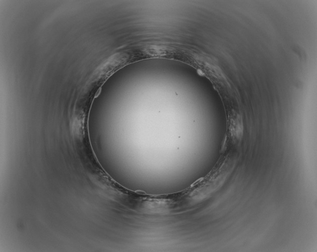 X0000113960332200909251406