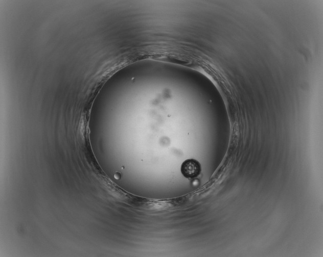 X0000113960333200909251406