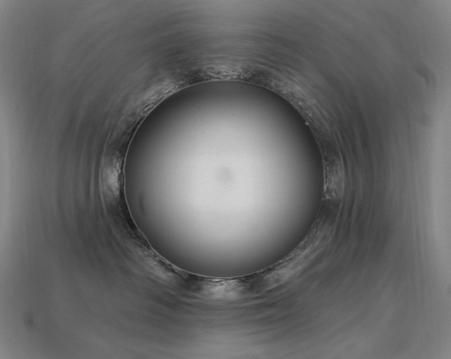 X0000113960334200909251406