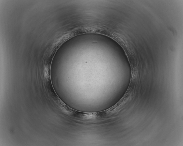 X0000113960335200909251406