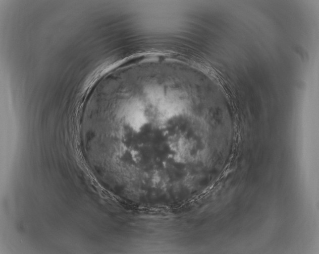 X0000113960337200909251405