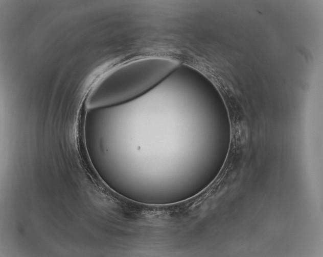 X0000113960340200909251405