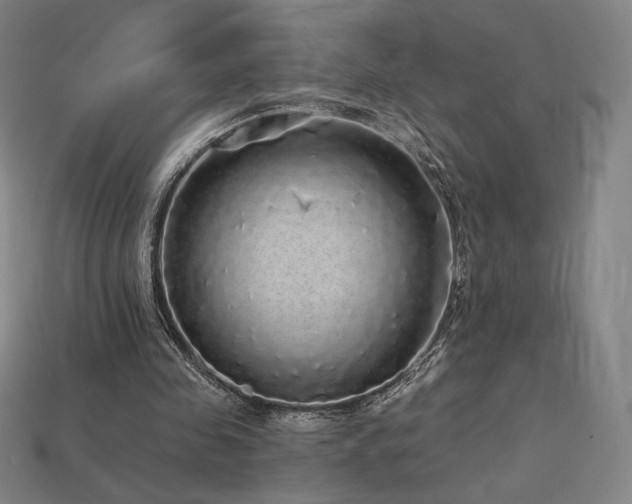 X0000113960341200909251405