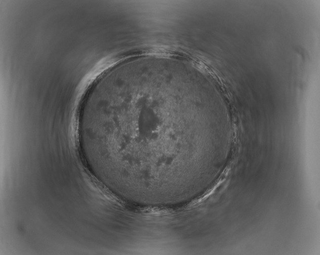 X0000113960343200909251405