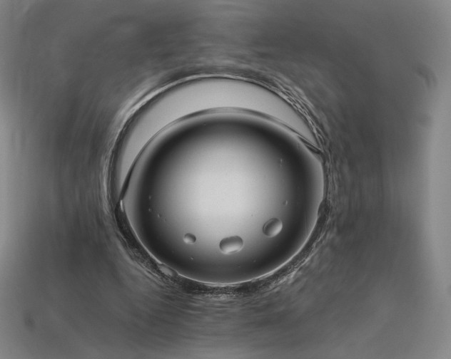 X0000113960344200909251405