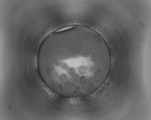 X0000113960345200909251405