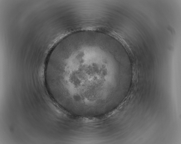 X0000113960346200909251405