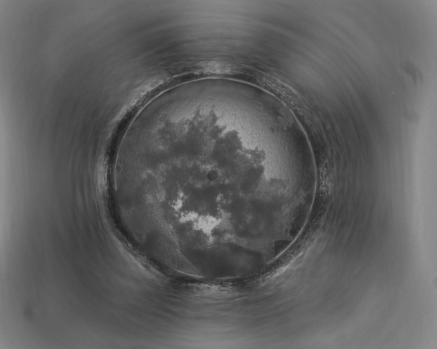 X0000113960347200909251405