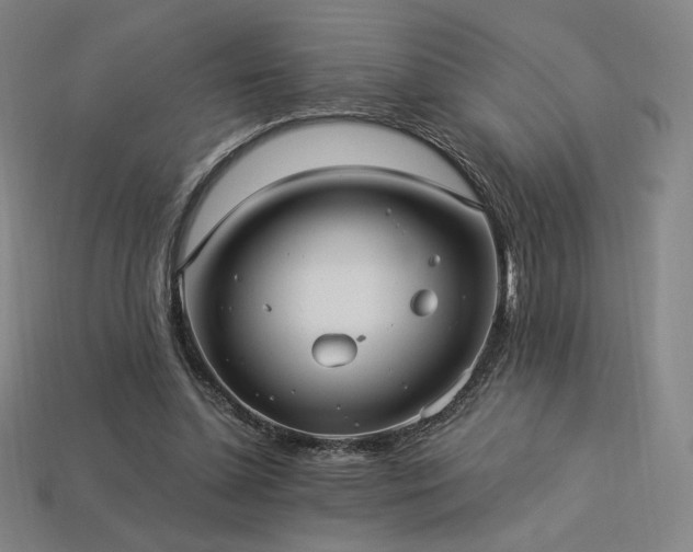 X0000113960348200909251405