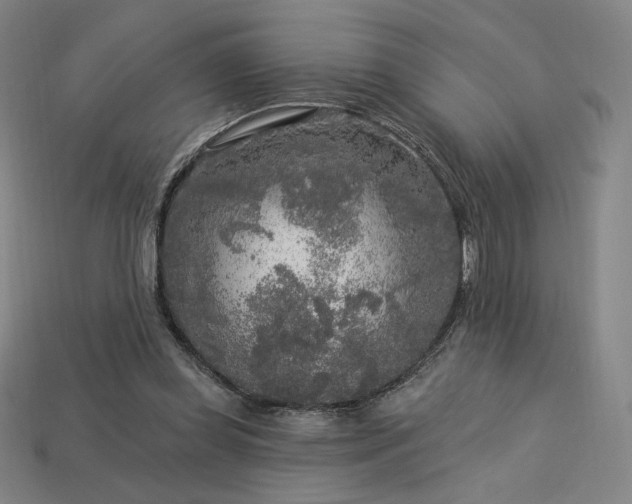 X0000113960349200909251405