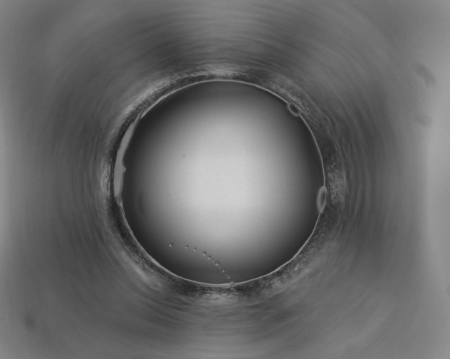 X0000113960350200909251405