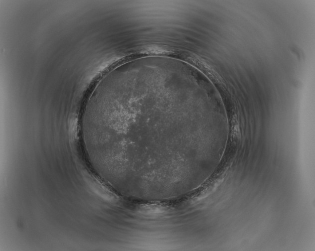 X0000113960351200909251405