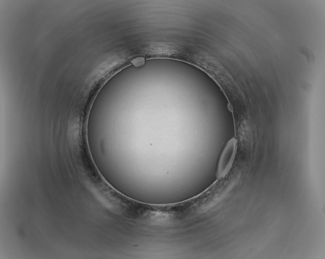 X0000113960352200909251405