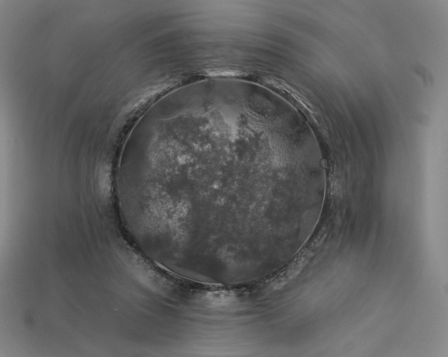 X0000113960353200909251405