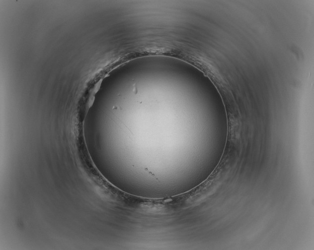 X0000113960354200909251405