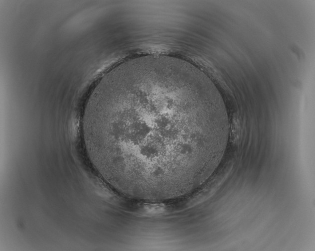 X0000113960355200909251405