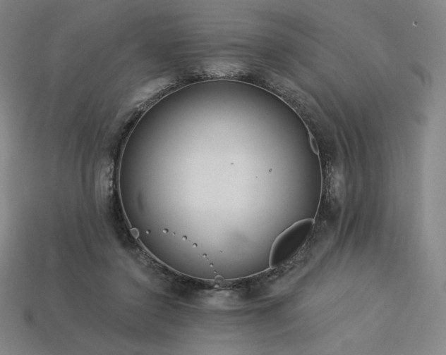 X0000113960356200909251405