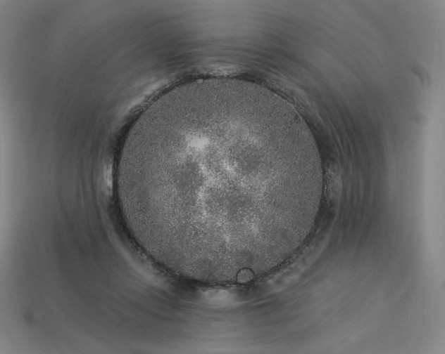 X0000113960358200909251405