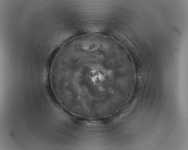 X0000113960359200909251405