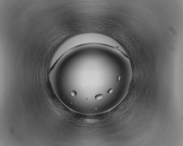 X0000113960360200909251405