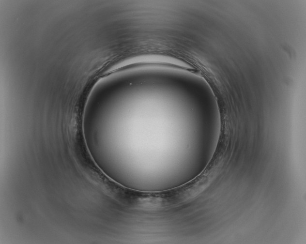 X0000113960362200909251405