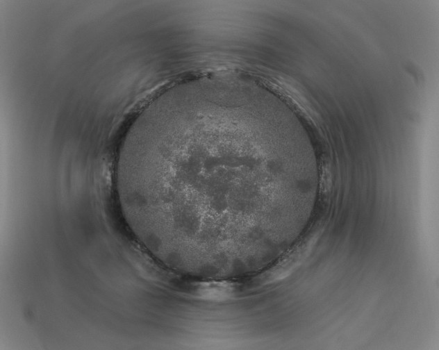 X0000113960363200909251405