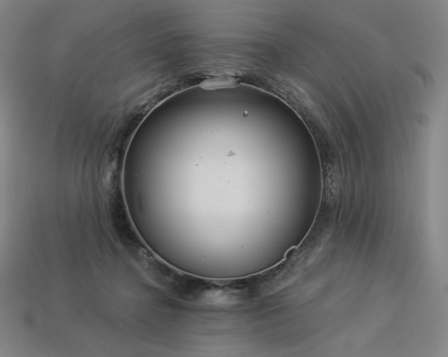 X0000113960364200909251405