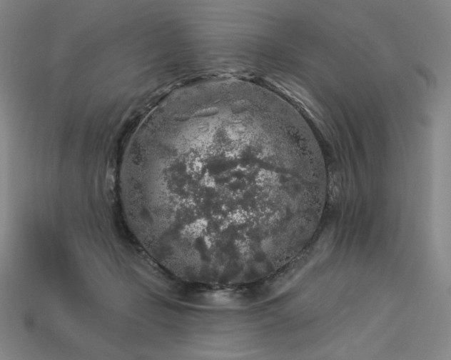 X0000113960365200909251405