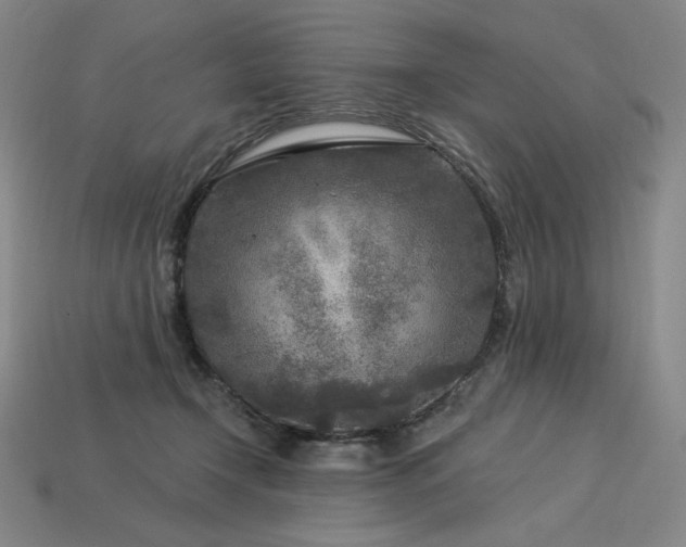 X0000113960366200909251405