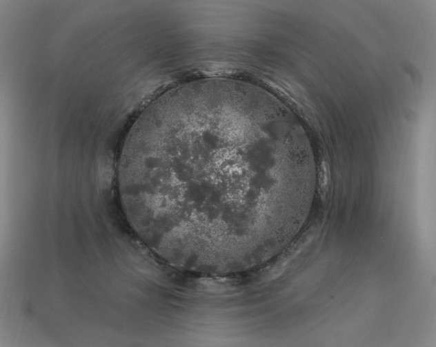 X0000113960367200909251405