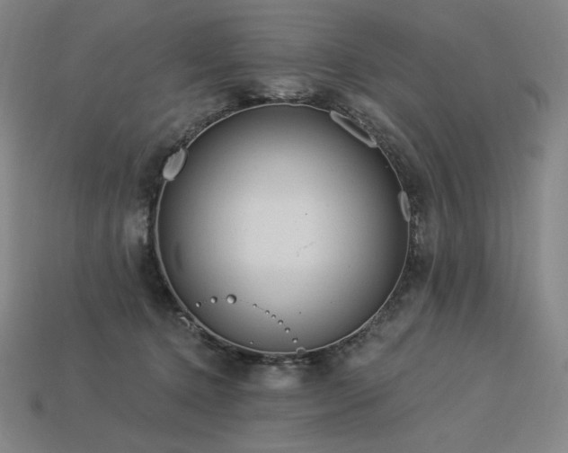 X0000113960368200909251405