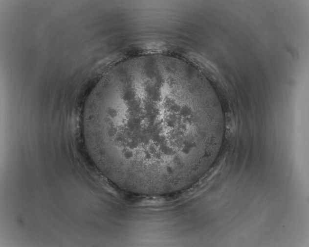 X0000113960369200909251405