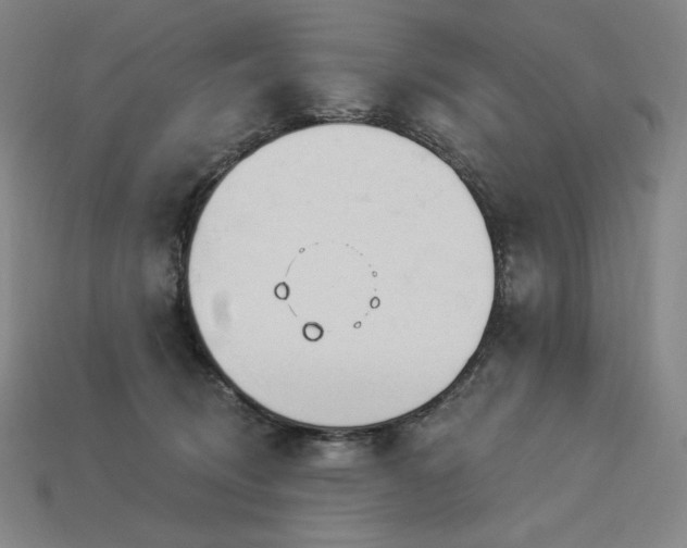 X0000113960370200909251405