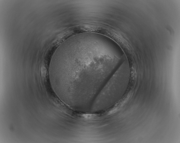 X0000113960371200909251405