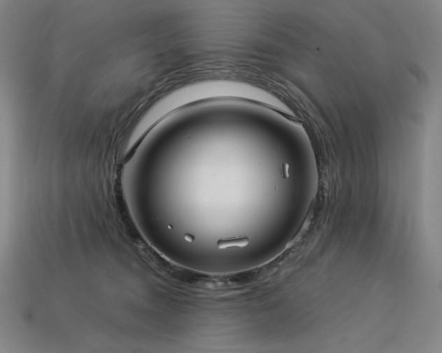 X0000113960372200909251405