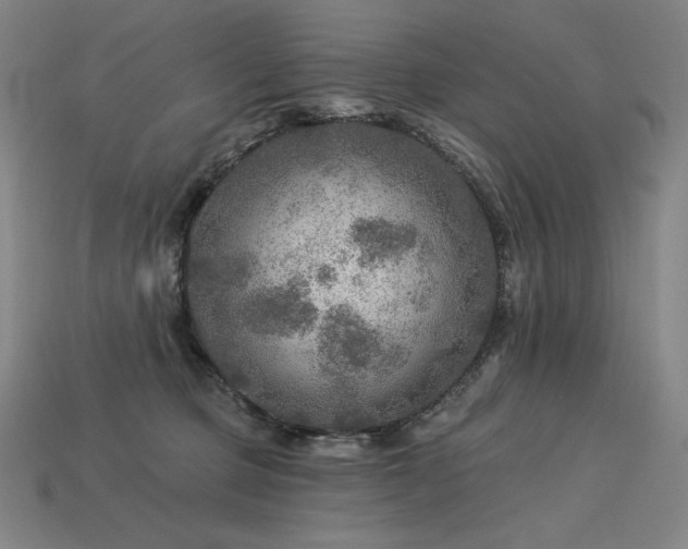 X0000113960373200909251405