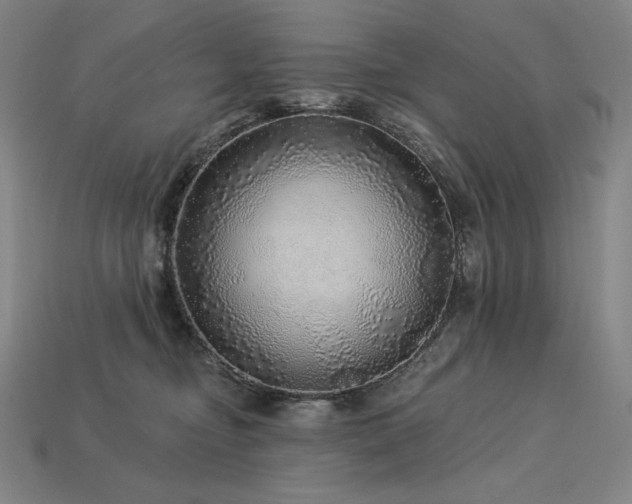 X0000113960374200909251405