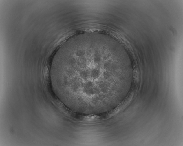 X0000113960375200909251405