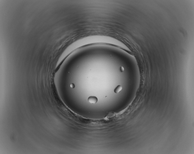 X0000113960376200909251405