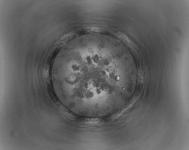 X0000113960377200909251405