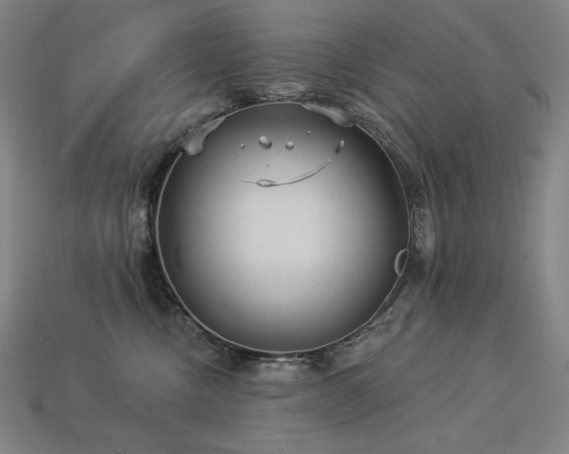 X0000113960378200909251406