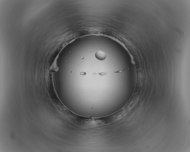 X0000113960379200909251406