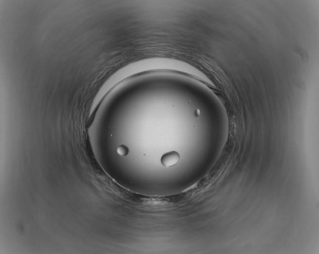 X0000113960380200909251406