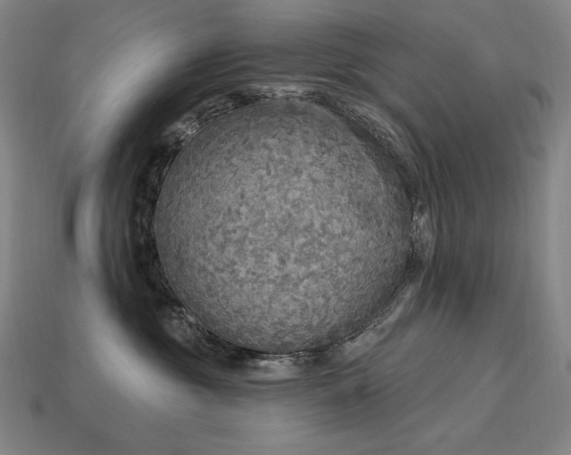 X0000113960381200909251406