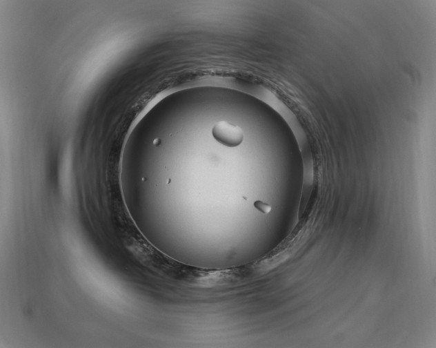 X0000113960382200909251406