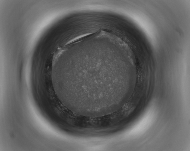 X0000113960383200909251406